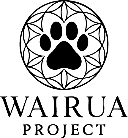 logo wairua project
