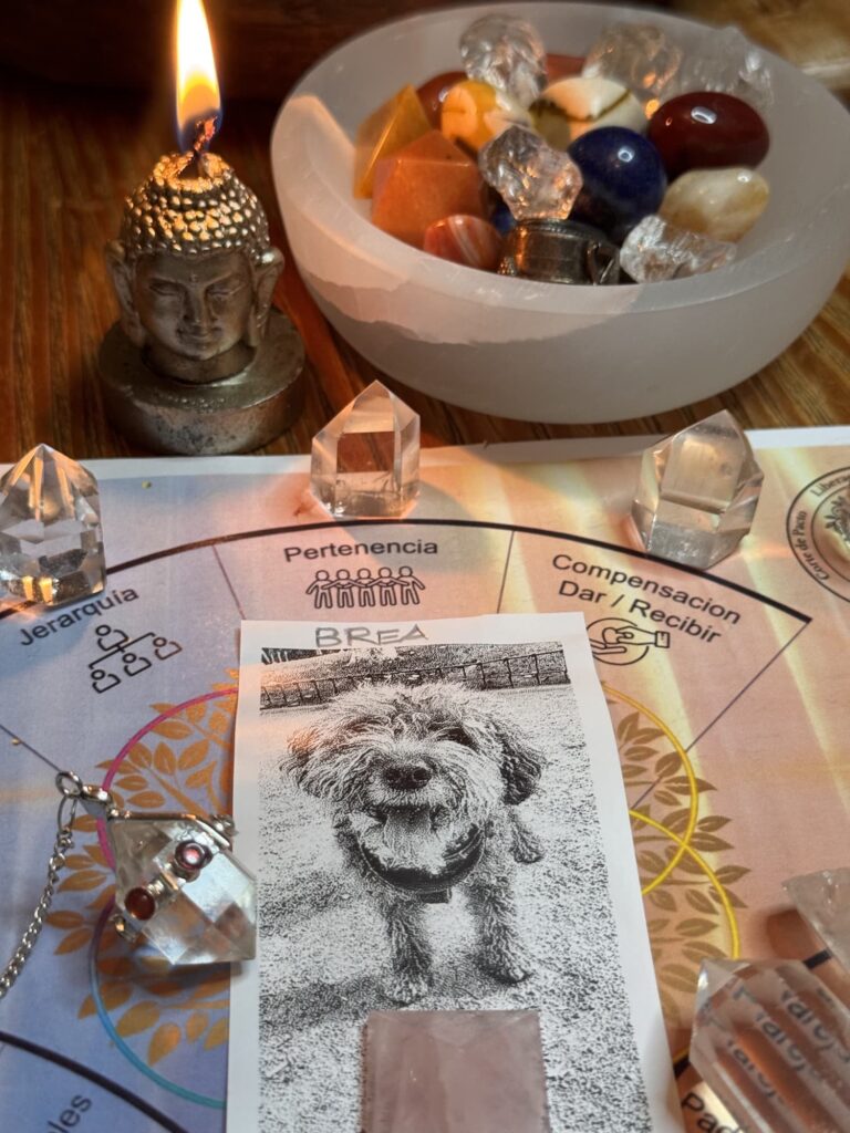 constelaciones con animales