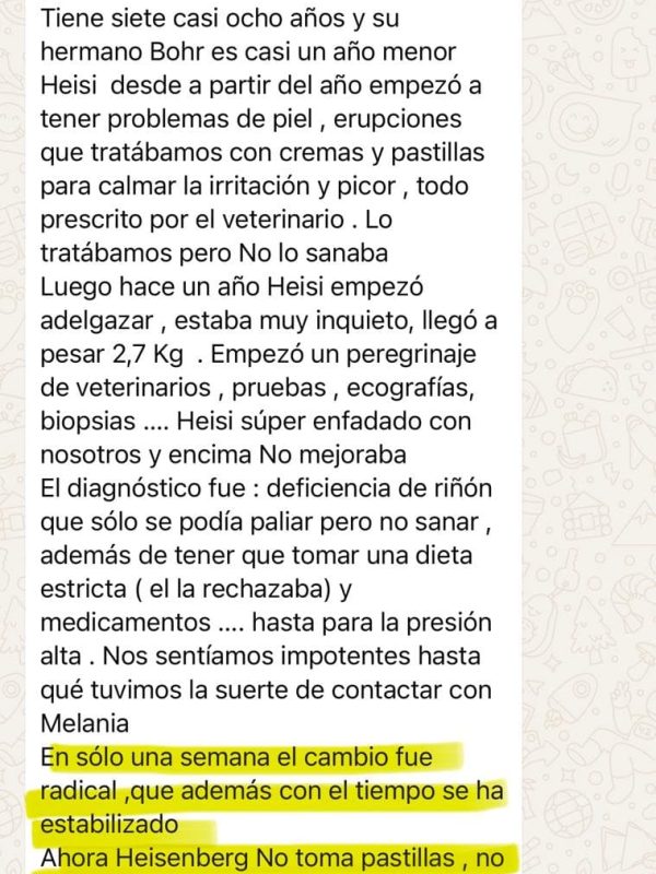 testimonios wairua project2