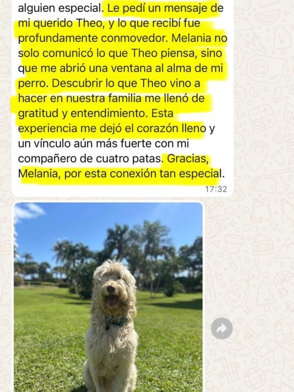 testimonios wairua project4